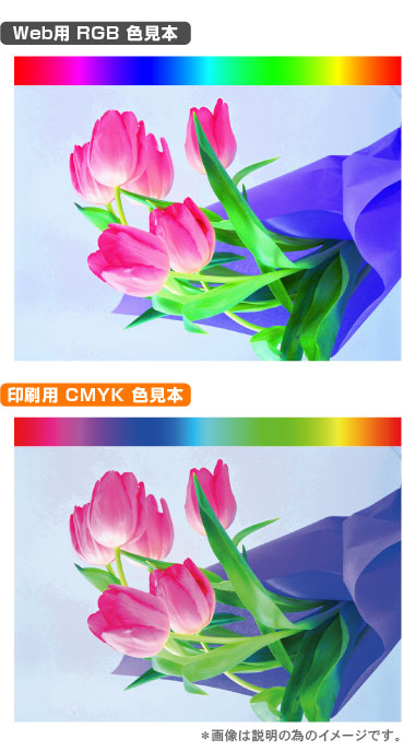 Web用RGB色見本と印刷用CMYK色見本